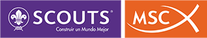 Scouts MSC Gestión